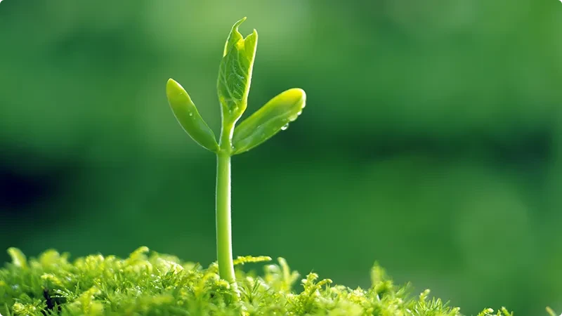 Energy Saving And Emission Reduction Energy Saving And Emission Reduction