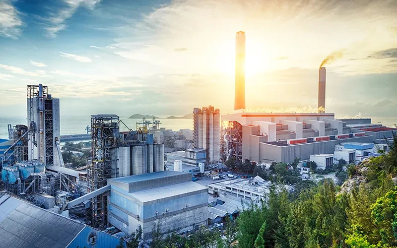 China Chaga Mushroom Extract Factory China Chaga Mushroom Extract Factory