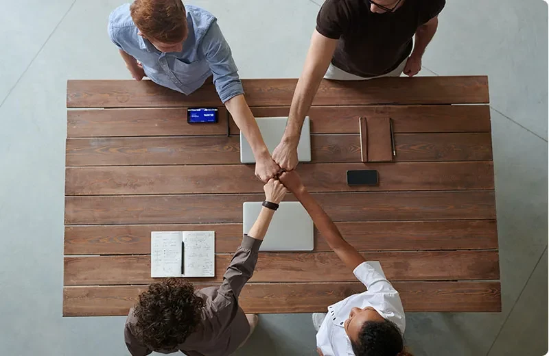 turmeric extract curcumin turmeric extract curcumin